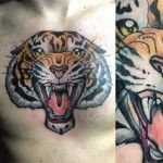 Stefano Bonura Tattoo: Tatuaggio Tigre Ligera Ink Studio Tattoo Milano tatuaggiotatuaggio tradizionale New traditional tattoo tatuaggio tigre tatuaggi belli