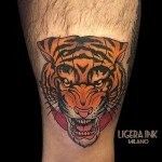 Stefano Bonura Tattoo: Tigre tatuaggio gamba - Ligera Ink - Studio Tattoo Milano tatuaggiotatuaggio tradizionale New traditional tattoo tatuaggi belli