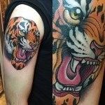 Stefano Bonura Tattoo: Tatuaggio Tigre spalla - Ligera Ink Studio Tattoo Milano tatuaggio tatuaggio tradizionale New traditional tattoo tatuaggi belli