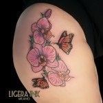 Ligera-ink-tatuaggio-fiori-tatuaggio-orchidea-tatuaggio-farfalle-tattoo-new-school-tatuaggio-new-school-tattoo-milano-tatuaggi-milano-tatuatori-milano-tattoo-tatuaotori