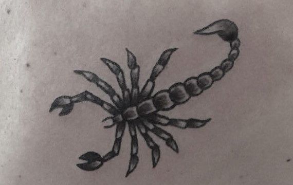 Ligera-Ink-Tattoo-Milano-tatuaggio-scopione-tattoo-scorpione-tatuaggi-piccoli-femminili-tatuaggi-minimal-tattoo-minimal-tatuaggi-piccoli-uomo-tatuaggi-milano-tatuatori-milano-tattoo-milano