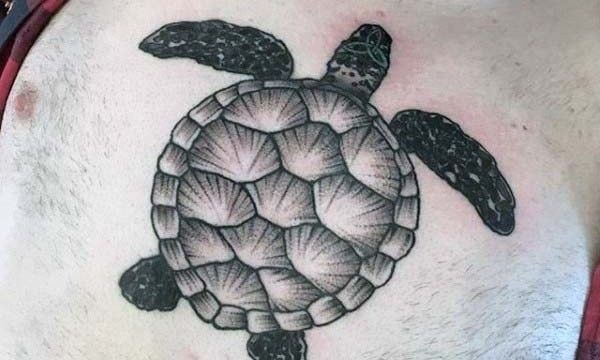 Tatuaggio-tartaruga-tattoo-tartaruga-tatuaggi-milano-tattoo-milano-studio-tatuaggi-milano-tattoo-studio-milano-migliori-tatuatori-milano-miglior-tatuatore-milano