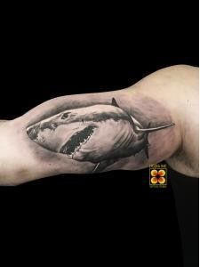 Ligera-ink-tattoo-milano-tatuaggi-milano-migliori-tatuatori-milano-tatuaggi-realistici-milano-tatuatori-realistici-milano-tatuaggio-squalo