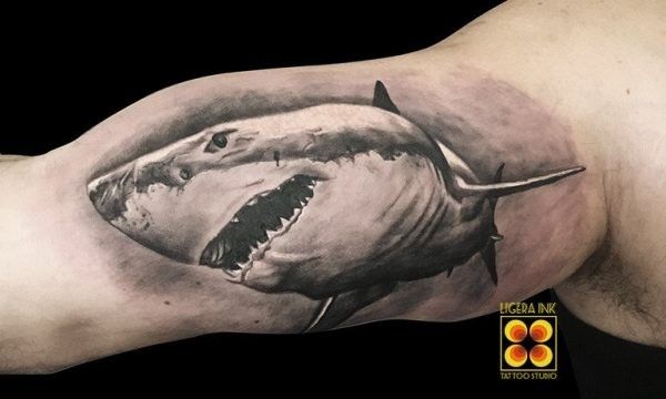 Ligera-ink-tattoo-milano-tatuaggi-milano-migliori-tatuatori-milano-tatuaggi-realistici-milano-tatuatori-realistici-milano-tatuaggio-squalo Ligera-ink-tattoo-milano-tatuaggi-milano-migliori-tatuatori-milano-tatuaggi-realistici-milano-tatuatori-realistici-milano-tatuaggio-squalo