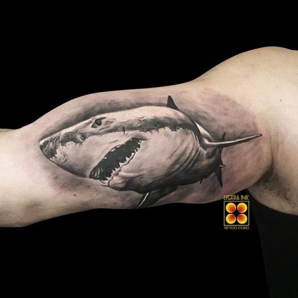 Ligera-ink-tattoo-milano-tatuaggi-milano-migliori-tatuatori-milano-tatuaggi-realistici-milano-tatuatori-realistici-milano-tatuaggio-squalo