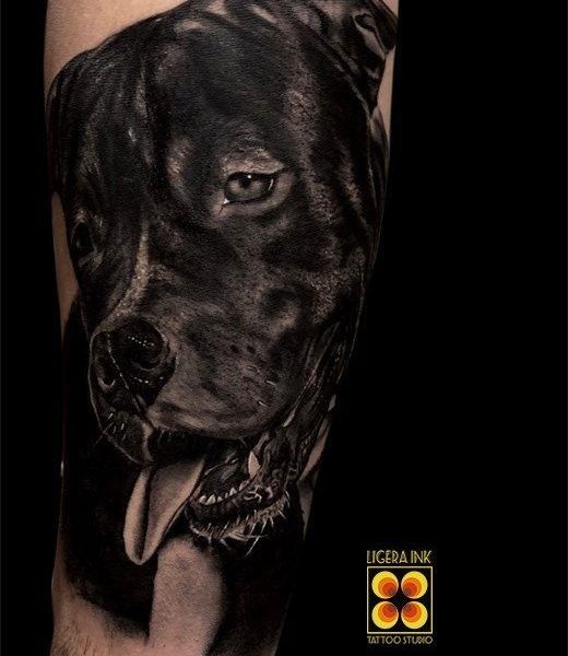 Ligera-ink-tattoo-milano-tatuaggi-milano-migliori-tatuatori-milano-tatuaggi-realistici-milano-tattoo-realistici-milano-tattoo-realistici-animali-milano-tattoo-realistico-cane