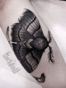 Tatuaggio falena-tattoo-falena-tatuaggio-blackwork-milano