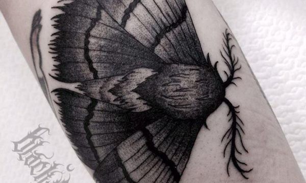Tatuaggio falena-tattoo-falena-tatuaggio-blackwork-milano