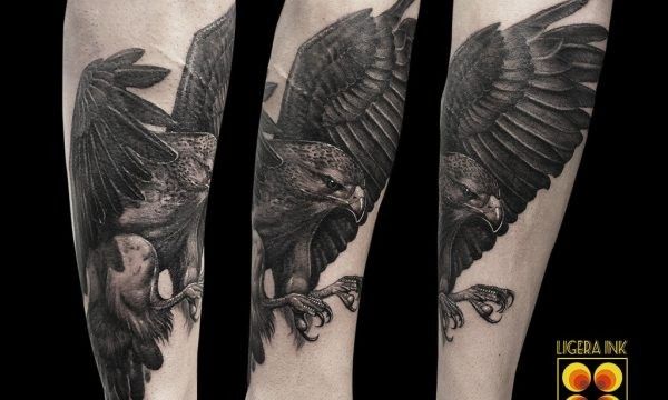 Ligera-ink-tattoo-milano-tatuaggi-milano-migliori-tatuatori-milano-tatuaggi-realistici-milano-tattoo-realistici-milano-tatuaggio-relialistico-tatuaggio-falco