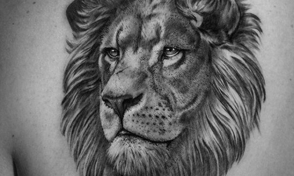 Ligera-ink-tattoo-milano-tatuaggi-milano-migliori-tatuatori-milano-tatuaggio-Tatuaggi-realistici-milano-tattoo-realistici-milano-tatuaggio-leone Ligera-ink-tattoo-milano-tatuaggi-milano-migliori-tatuatori-milano-tatuaggio-Tatuaggi-realistici-milano-tattoo-realistici-milano-tatuaggio-leone