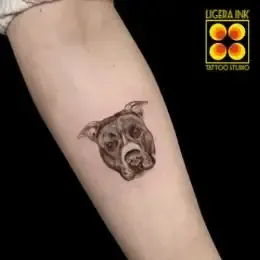 Micro tatuaggi milano- ligera ink
