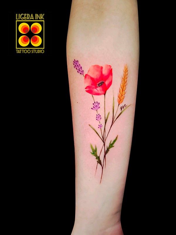 Hilyfiorebraccioweb 1