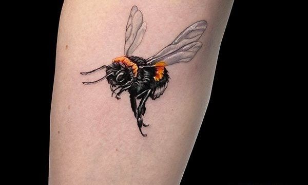 Ligera-ink-tattoo-milano-tatuaggi-milano-migliori-tatuatori-milano-tattoo-realistici-milano-tatuaggi-realistici-milano-tattoo-ape-regina-milano-tatuaggio-ape-regina Ligera-ink-tattoo-milano-tatuaggi-milano-migliori-tatuatori-milano-tattoo-realistici-milano-tatuaggi-realistici-milano-tattoo-ape-regina-milano-tatuaggio-ape-regina