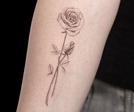 Ligera-ink-tattoo-milano-tatuaggi-milano-migliori-tatuatrice-milano-tattoo-fineline-milano-tatuaggi-fineline-milano-fineline-milano-tatuaggio-rosa-tattoo-milano-centro