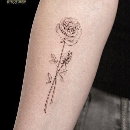 Ligera-ink-tattoo-milano-tatuaggi-milano-migliori-tatuatrice-milano-tattoo-fineline-milano-tatuaggi-fineline-milano-fineline-milano-tatuaggio-rosa-tattoo-milano-centro