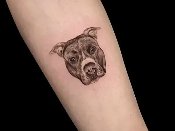 Tattuaggi odi un cane