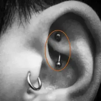 piercing daith
