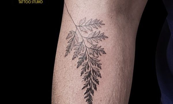 Ligera-Ink-Tattoo-milano-Tatuaggi-Milano-tatuatori-Milano-Walk-in-tattoo-milano-tatuaggi-Milano-blackwork-milano-tatuaggi-blackwork-Milano-Tattoo-Milano-Tatutaggi-blackwork-Milano-Fineline-felce-Althea.jpg