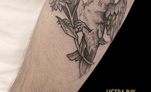 Ligera-Ink-Tattoo-milano-Tatuaggi-Milano-tatuatori-Milano-Walk-in-tattoo-milano-tatuaggi-Milano-blackwork-milano-tatuaggi-blackwork-Milano-Tattoo-Milano-Tatutaggi-blackwork-Milano-Fineline-passerotto-Althea.jpg
